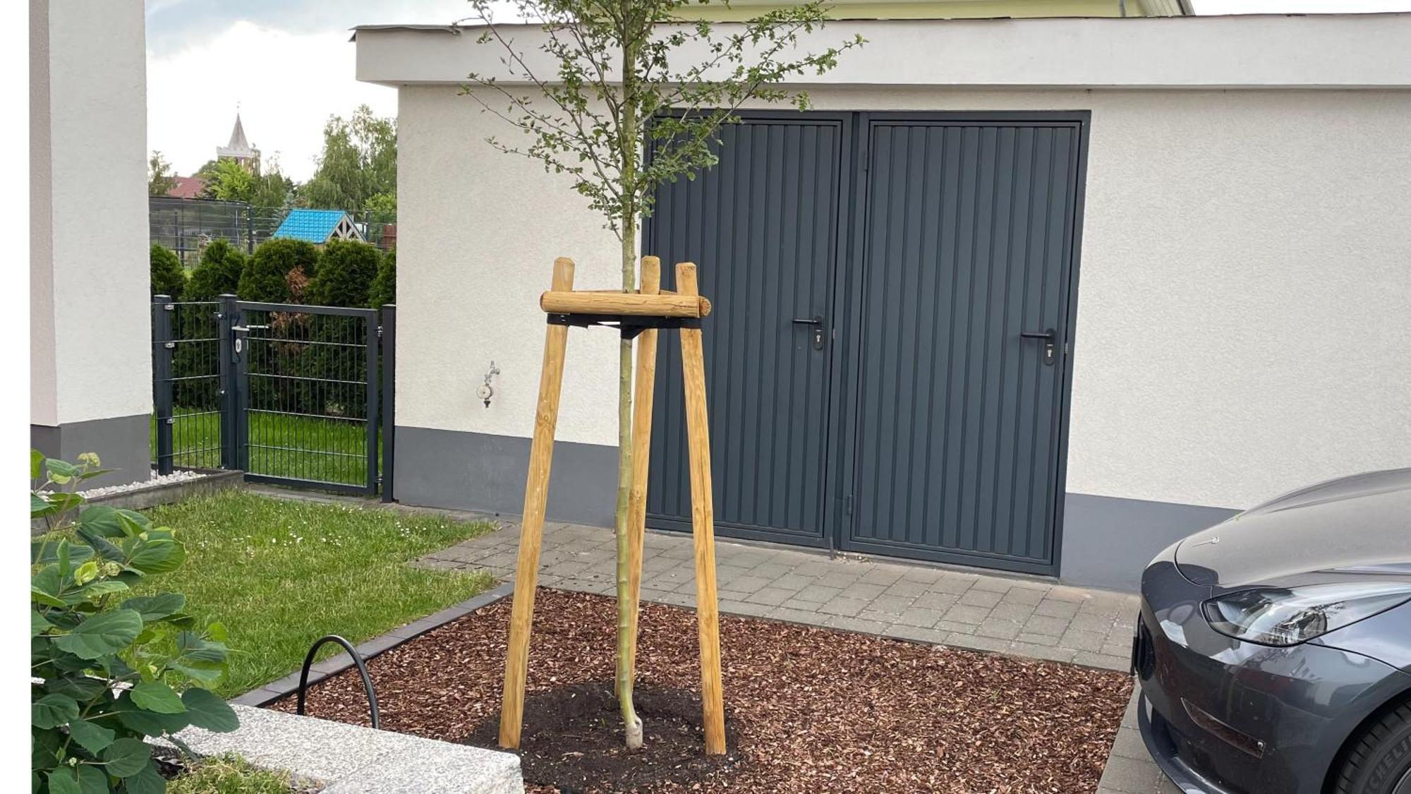 Am Gurkenradweg Werben (Brandenburg)